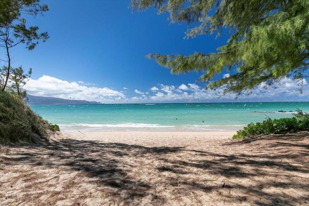 Unit 19 Maui Ohana Modern Studio Wailuku Екстер'єр фото