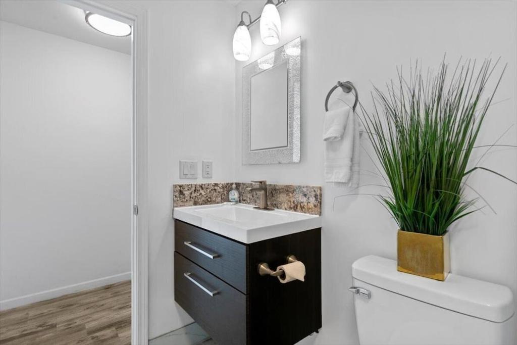 Unit 19 Maui Ohana Modern Studio Wailuku Екстер'єр фото
