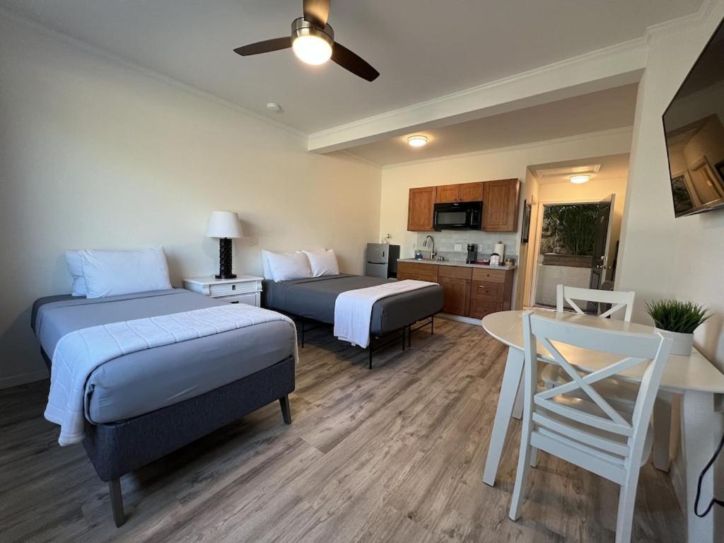 Unit 19 Maui Ohana Modern Studio Wailuku Екстер'єр фото