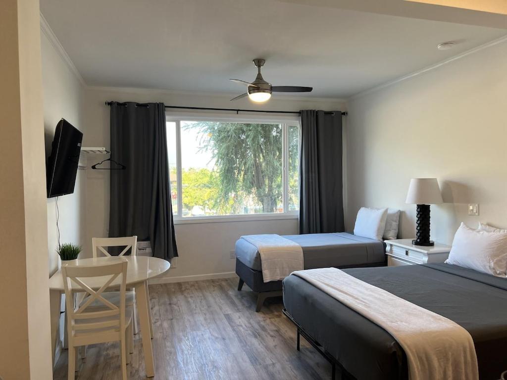 Unit 19 Maui Ohana Modern Studio Wailuku Екстер'єр фото